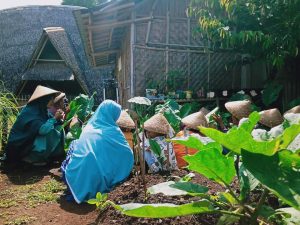 Read more about the article Farmingggg farmingggg ?