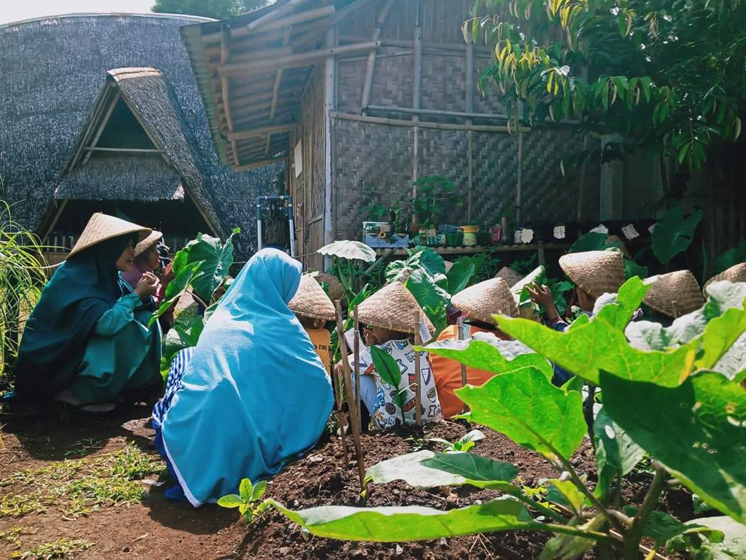 Read more about the article Farmingggg farmingggg ?